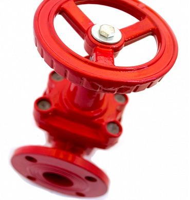 Задвижка чугунная 30ч39р 50 с обрез. клином (тип МЗВГ)