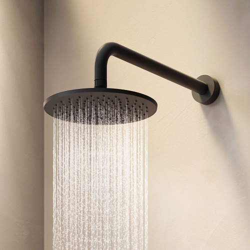 Лейка верхнего душа 220 мм Am.Pm Gem F0590022 черный